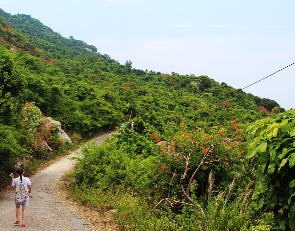 1620fileminimizer_zpskigj3ne9