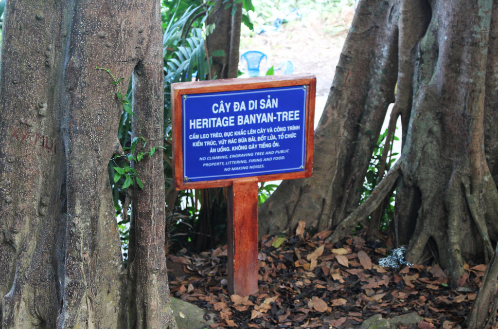 220fileminimizer_zpsfkemjhhb