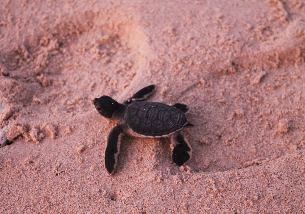 1020fileminimizer_zpsgkzb86bj