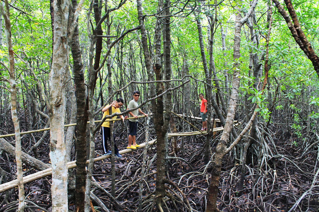 1020fileminimizer_zpssilqbtbm