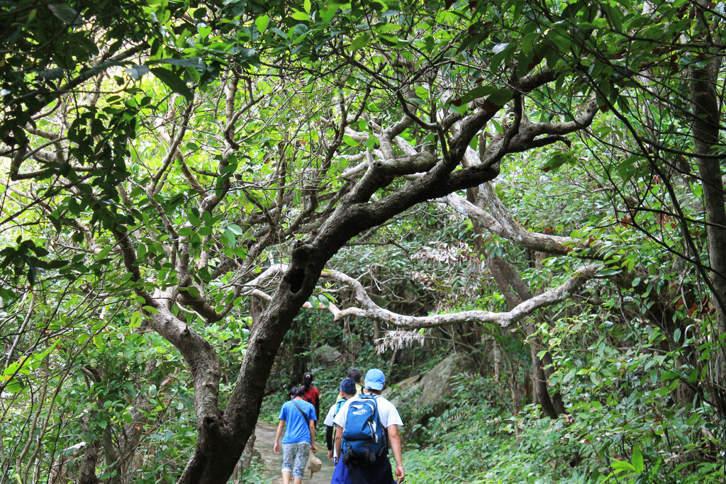 1320fileminimizer_zpsxjaj8n9r