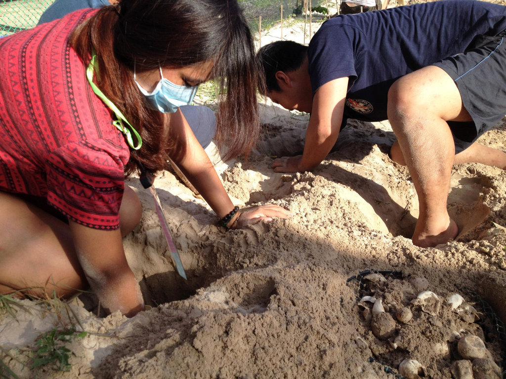 1720fileminimizer_zpssh74rsiz