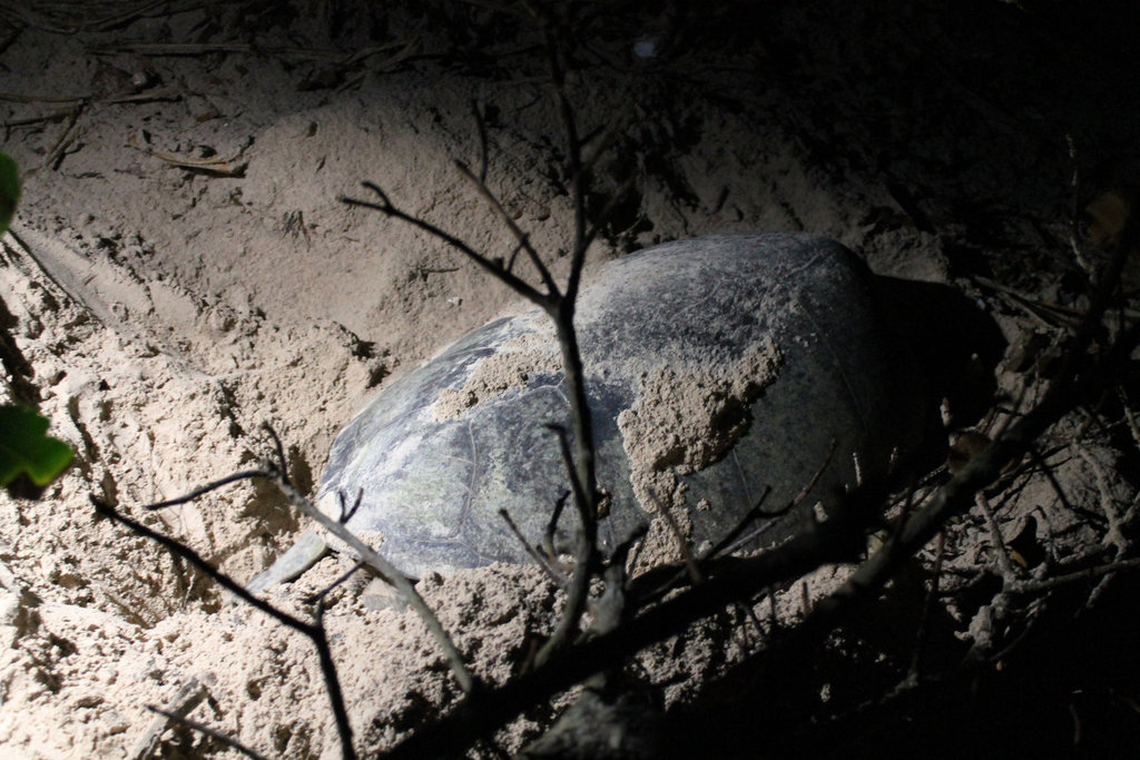 1e20fileminimizer_zpsof2lawyl