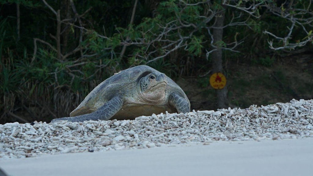 2620fileminimizer_zpsj4dudxbe