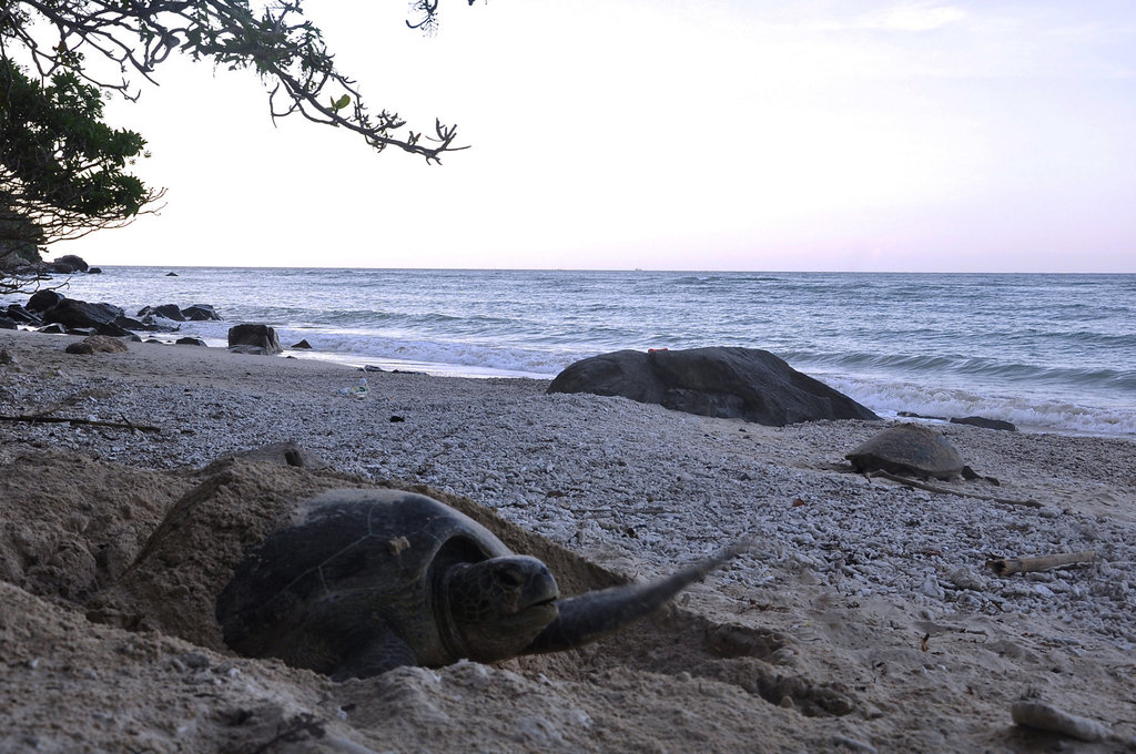 2720fileminimizer_zpsomfile3e