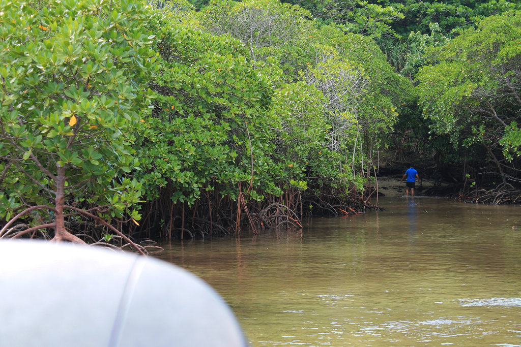 2820fileminimizer_zpsybti7qrb