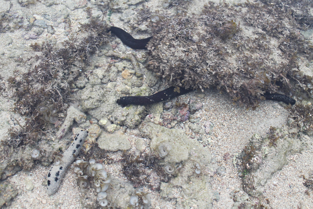 320fileminimizer_zps5zycyi0v