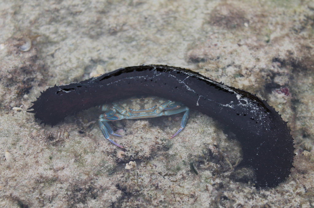 420fileminimizer_zps0idoowh4