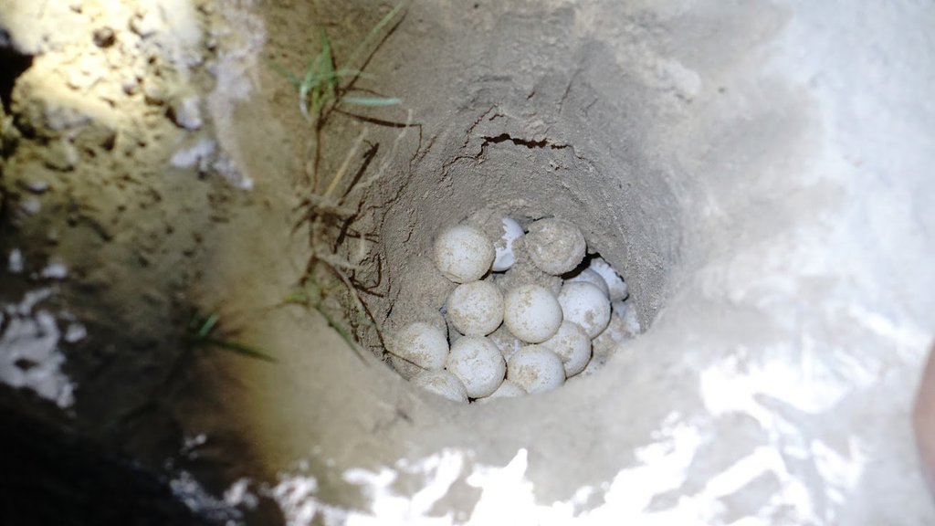 420huy20fileminimizer_zpsk2kgvnho