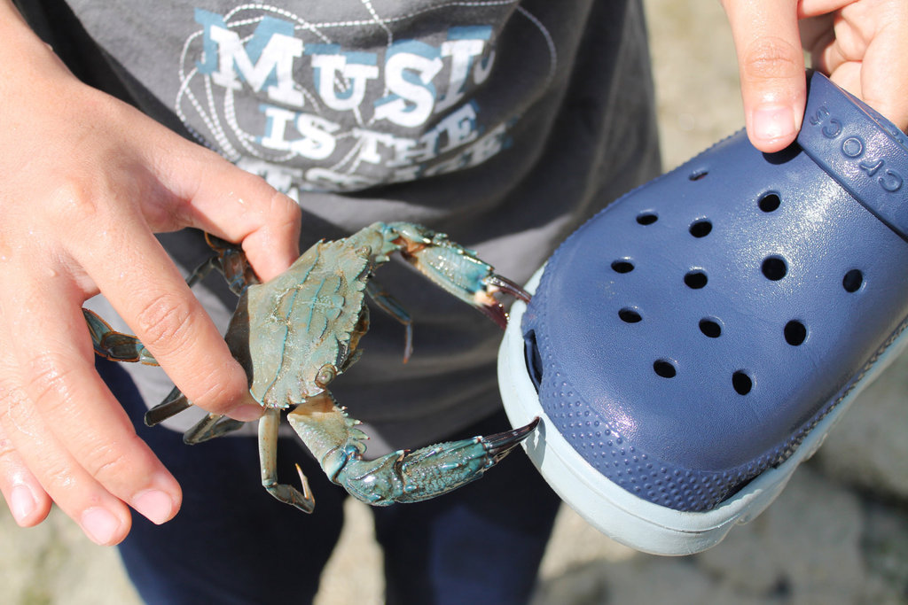 520fileminimizer_zpskbeoswgf