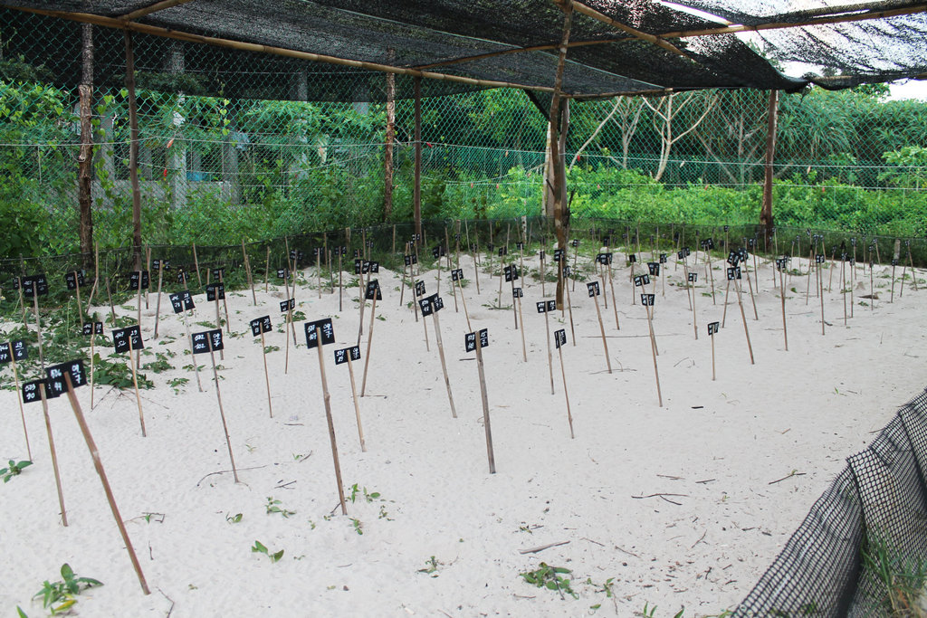 520fileminimizer_zpswecn7rvy