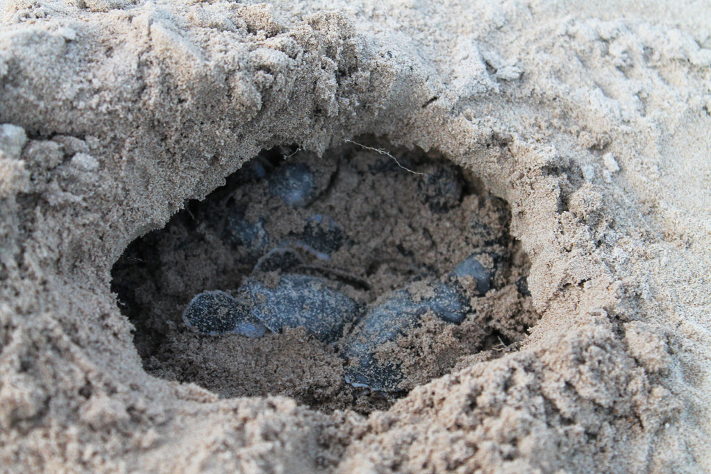 620fileminimizer_zpsc6gydohj