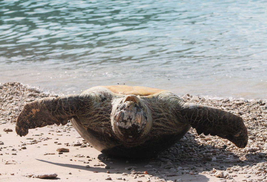 720fileminimizer_zpsefkffopt