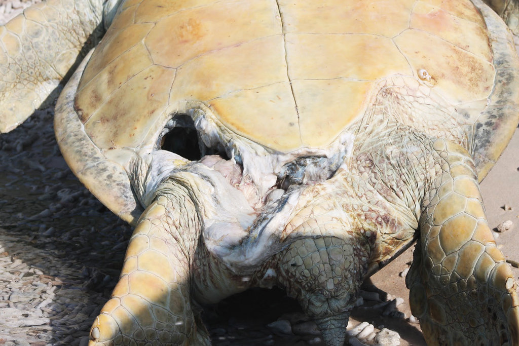 820fileminimizer_zpsnwktj3lq