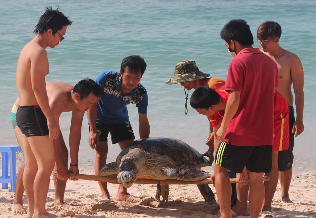 920fileminimizer_zps6xahx0cr