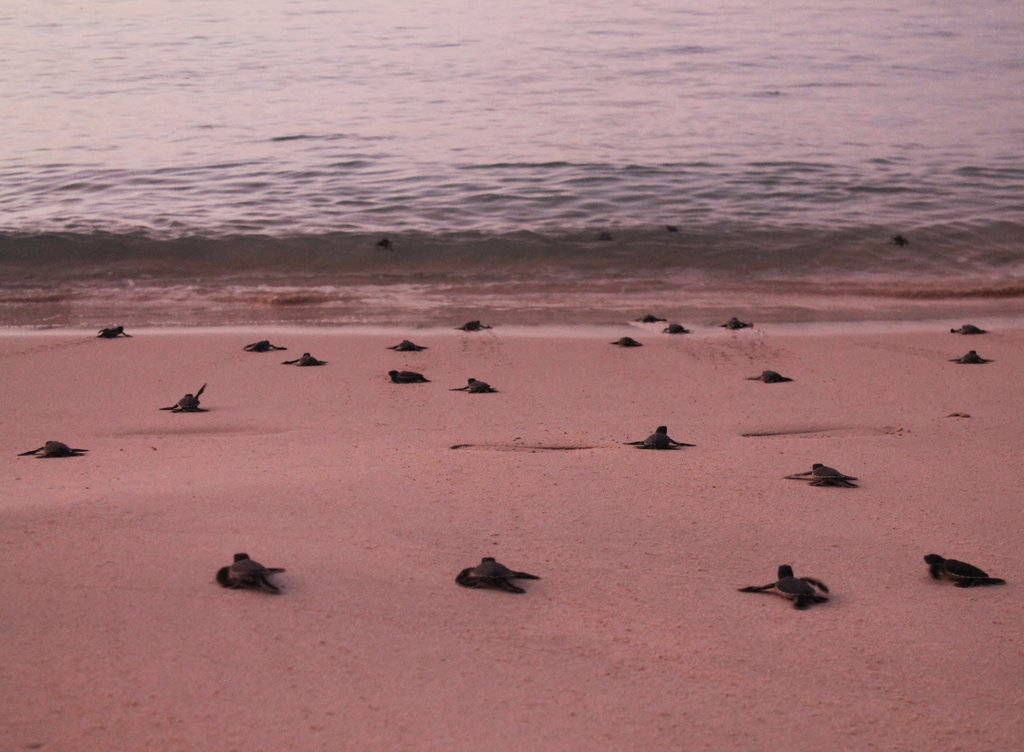 920fileminimizer_zpswx4zd1wn