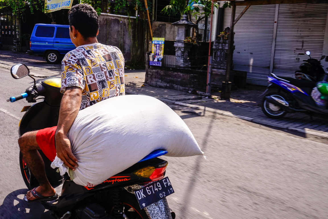 _DSC2264 (FILEminimizer)