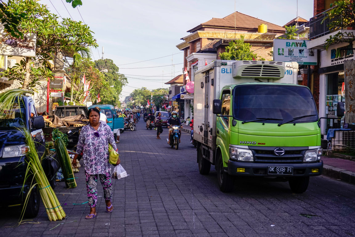 _DSC2509 (FILEminimizer)