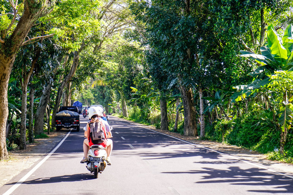 dsc253320fileminimizer_zpskxsh6bm7