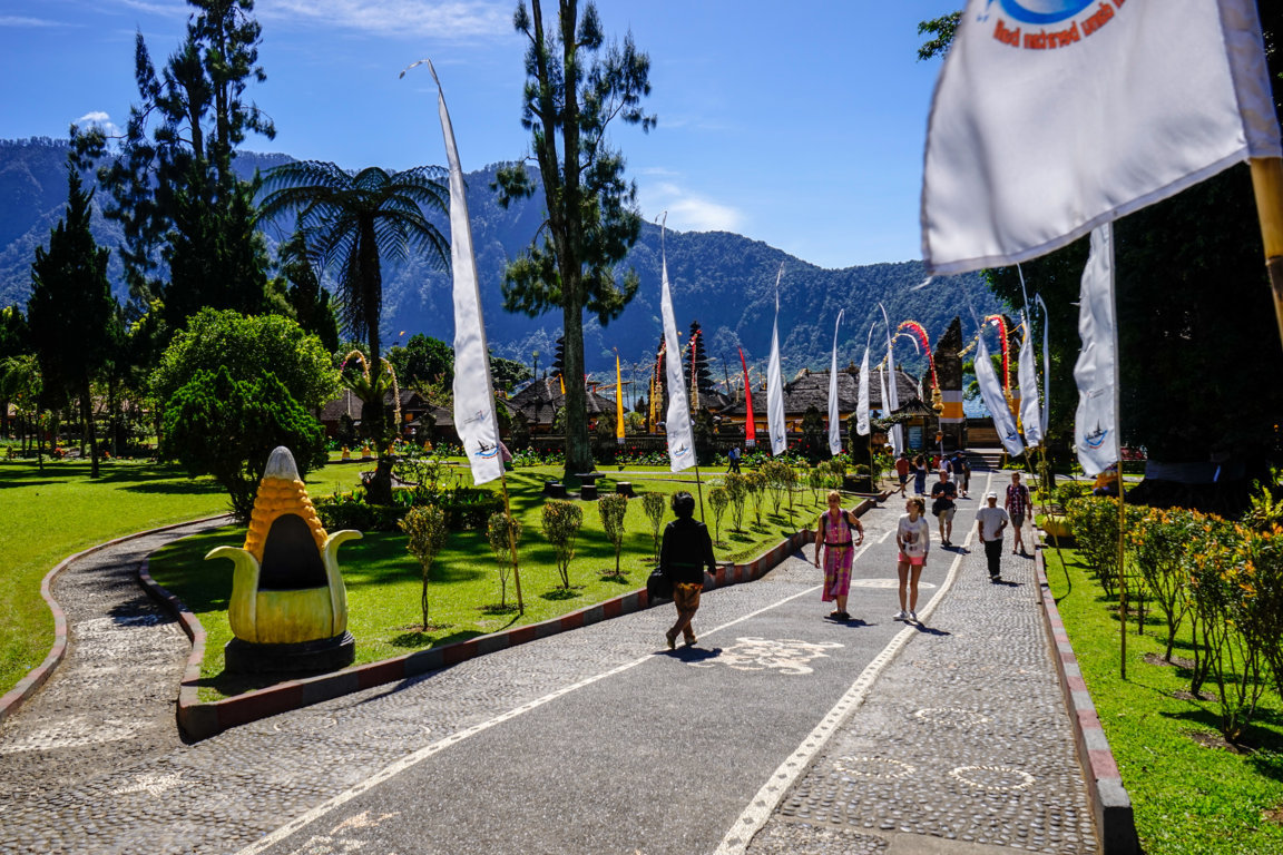 _DSC2556 (FILEminimizer)