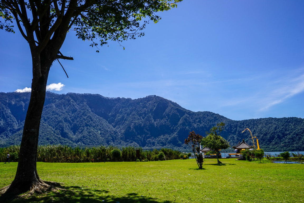 _DSC2574 (FILEminimizer)