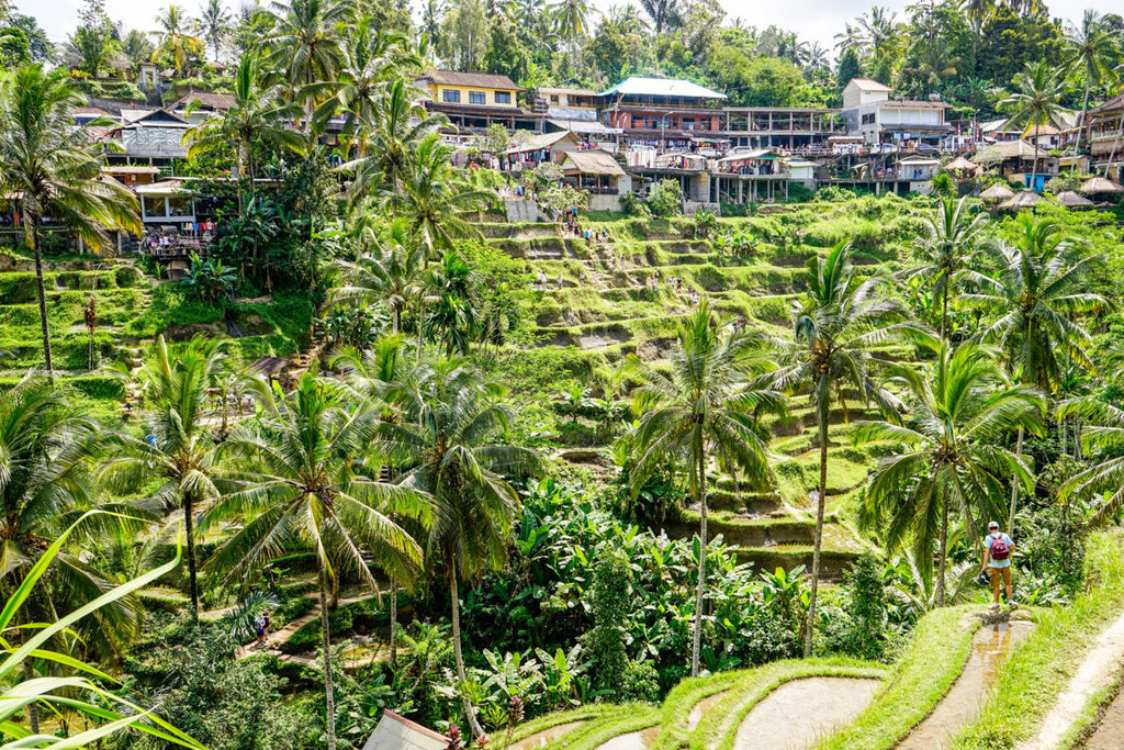 dsc260520fileminimizer_zpscegboygu