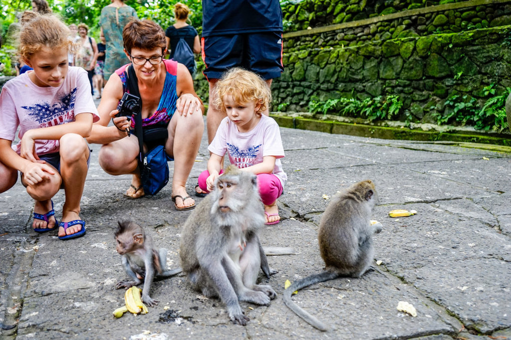 dsc267120fileminimizer_zps6g0ohooj