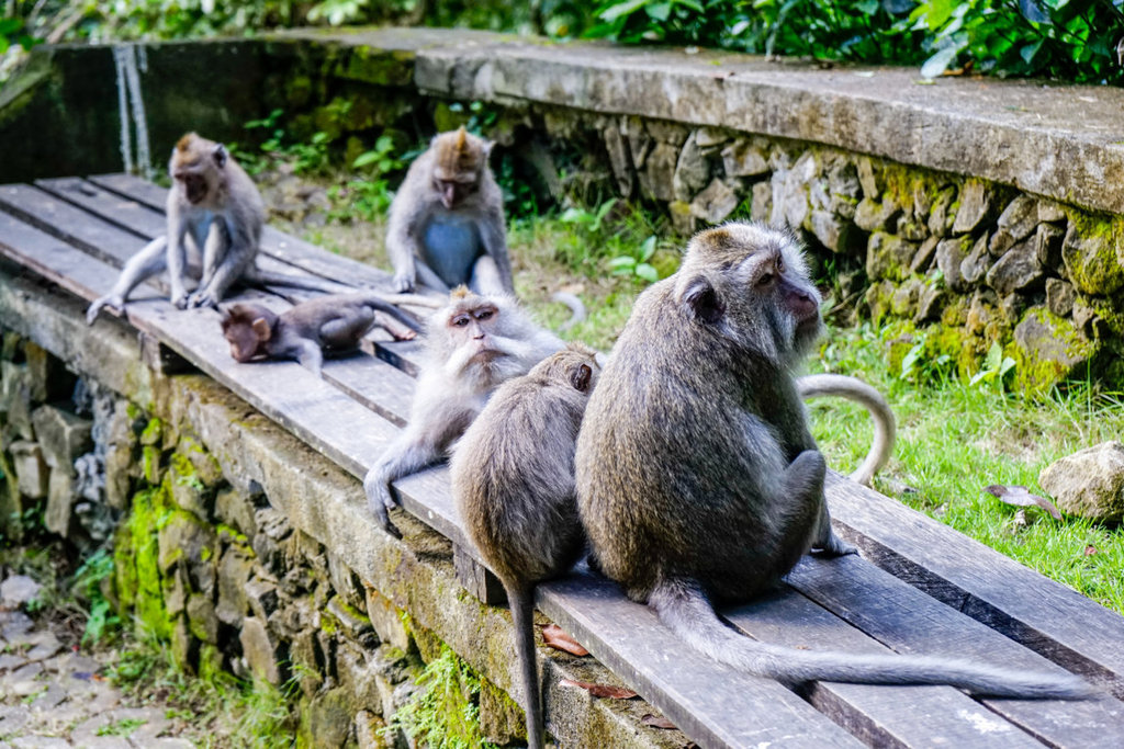 dsc269220fileminimizer_zpscodcenl5