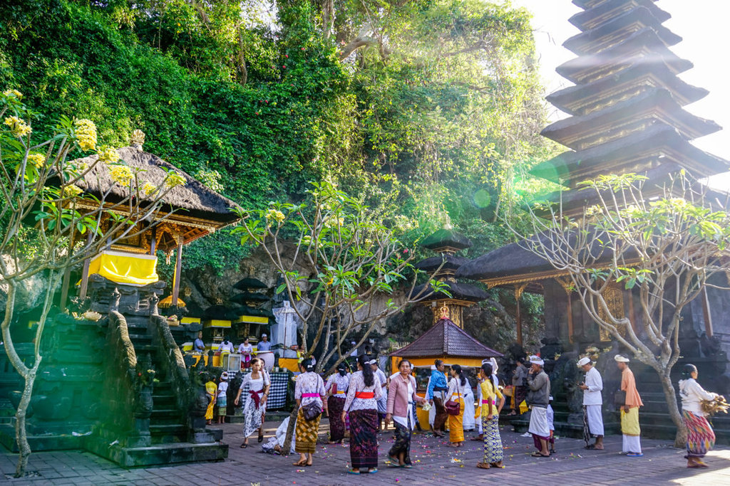 dsc272920fileminimizer_zpshyxkgznm