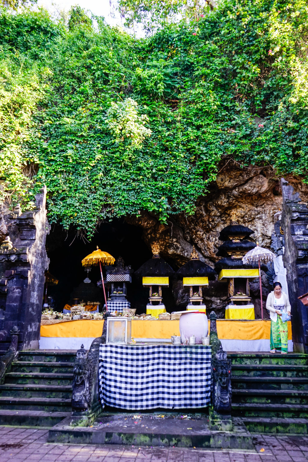 _DSC2735 (FILEminimizer)