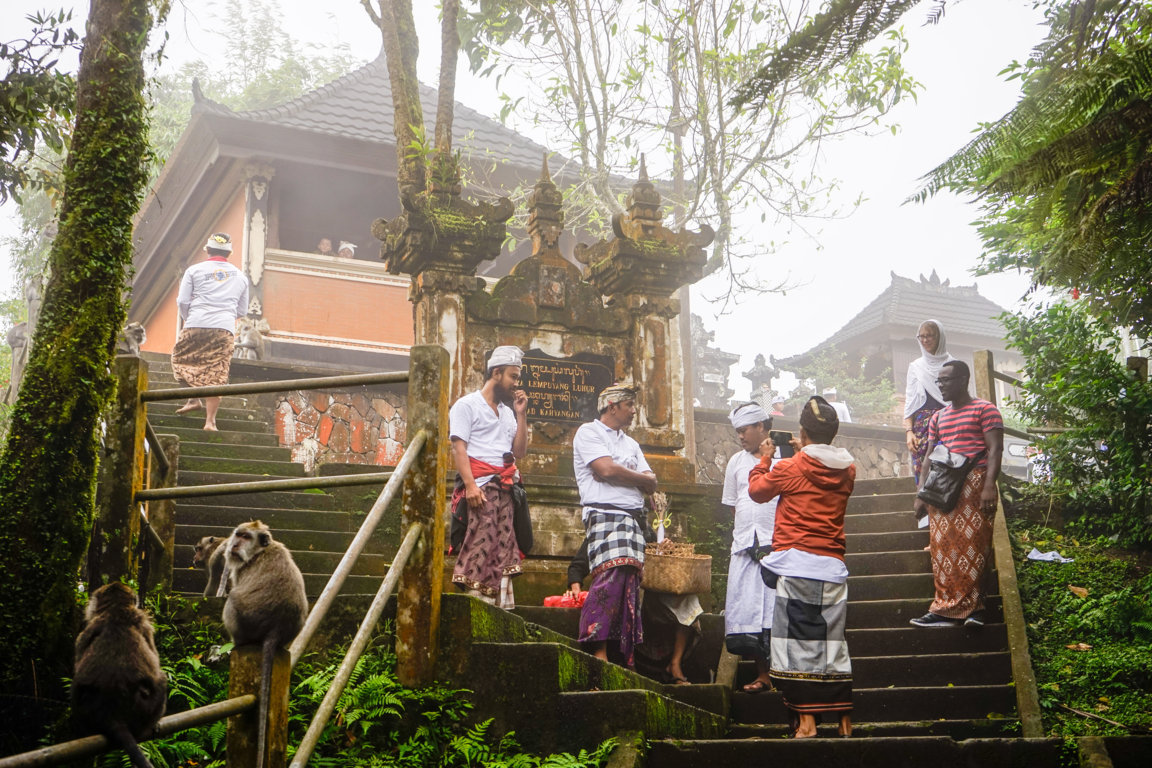 _DSC2837 (FILEminimizer)