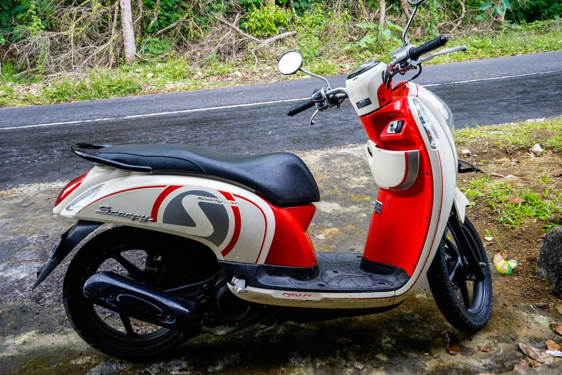 _DSC2950 (FILEminimizer).jpg