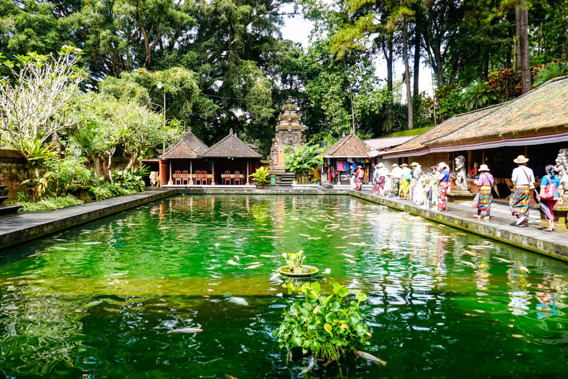 _DSC3083 (FILEminimizer).jpg