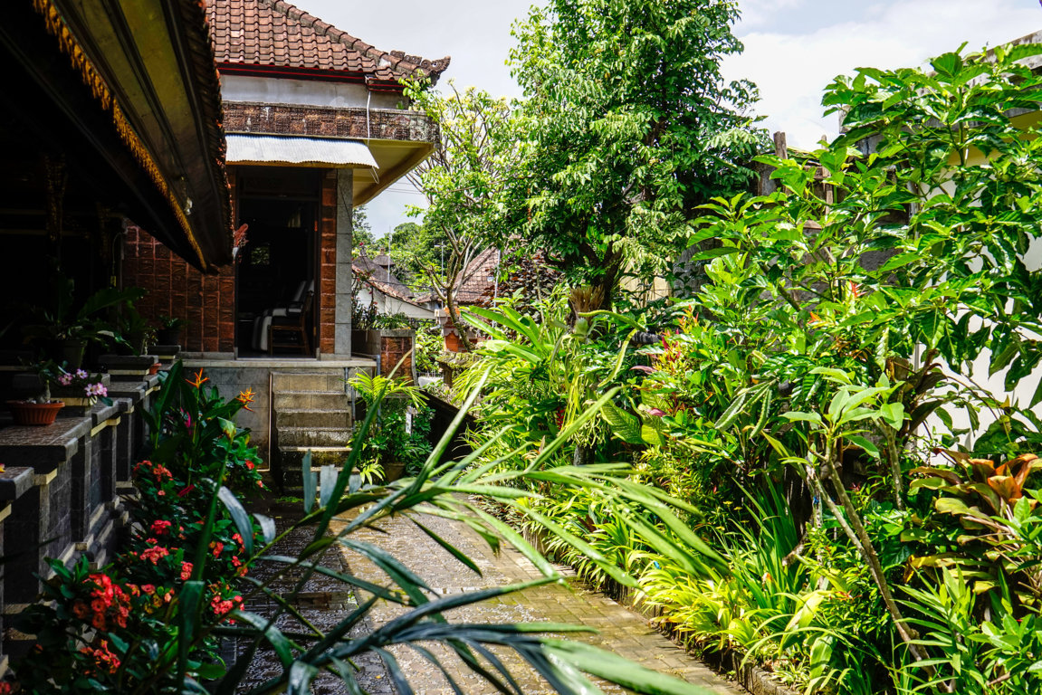 _DSC3087 (FILEminimizer)