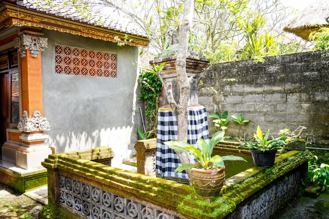 _DSC3089 (FILEminimizer)